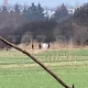 Tczew - Policjanci i strażacy znaleźli ciało. To prawdopodobnie zaginiony 29-latek