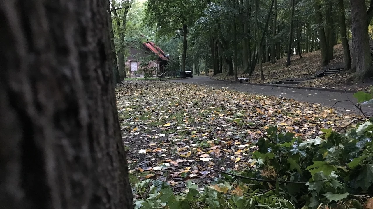 Tczew - Park Miejski jesienią z dnia 7.10.2016