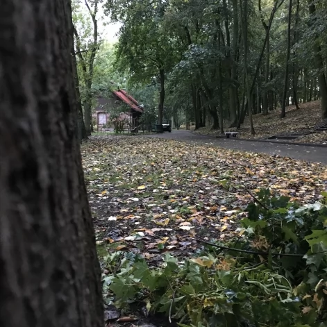 Tczew - Park Miejski jesienią z dnia 7.10.2016