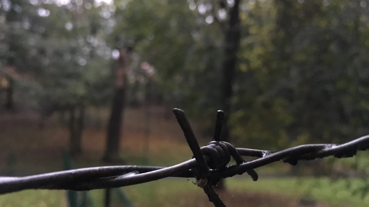 Tczew - Park Miejski jesienią z dnia 7.10.2016