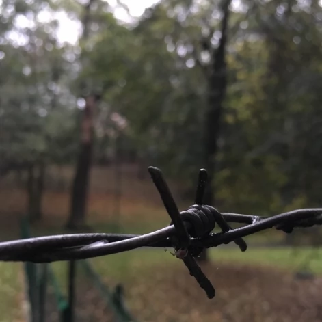 Tczew - Park Miejski jesienią z dnia 7.10.2016