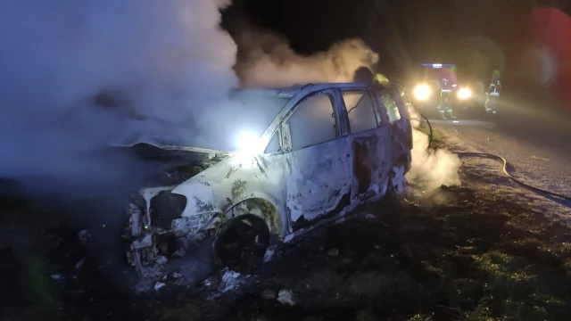 Tczew - Turze - Szczerbięcin. Auto uderzyło w drzewo i spłonęło