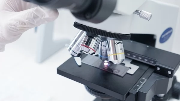 Tczew - Plastiki laboratoryjne od A do Z
