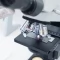 Tczew - Plastiki laboratoryjne od A do Z