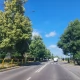 Tczew - Drzewo przy przejściu ma pójść pod topór