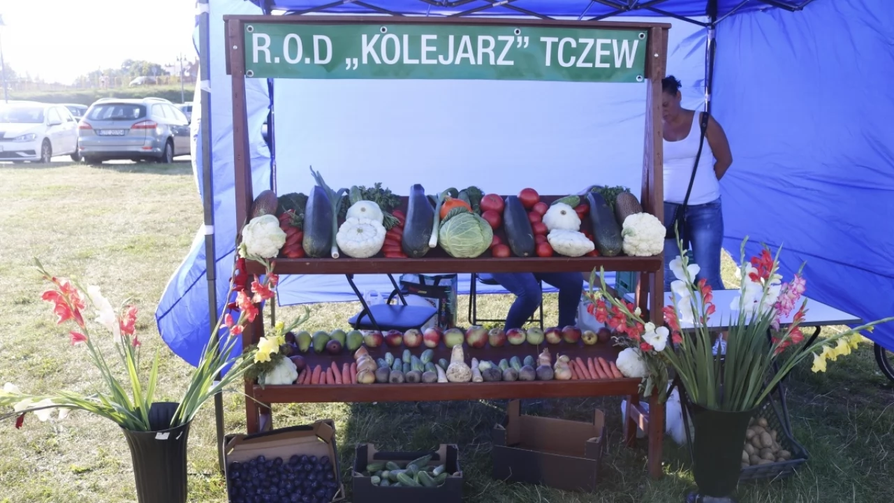 Tczew - XXVII Tczewskie Dożynki Działkowe