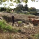 Tczew - Piękniejsze Jezioro Rokickie dzięki wolontariuszom GPEC TCZEW