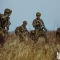 Tczew - Na Pomorzu trwają ćwiczenia "Anakonda". Terytorialsi również w akcji