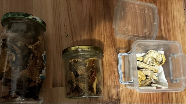 Tczew - Marihuana, haszysz, amfetamina, tabletki MDMA, grzyby halucynogenne w mieszkaniu 40-latka