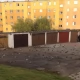 Tczew - Gołębie w mieście a kwestia dokarmiania