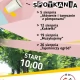 Tczew - Twórcze spotkania. Spotkajmy się w parku CKIS