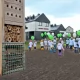 Tczew - "Tczew kwitnie". Pierwsza łąka wysiana
