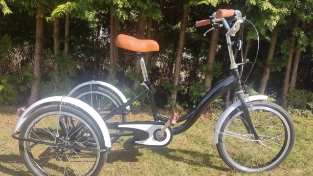 Tczew - sprzedam rower trójkołowy dla dorosłych