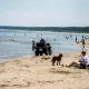 Tczew - Nie daj się okraść na plaży