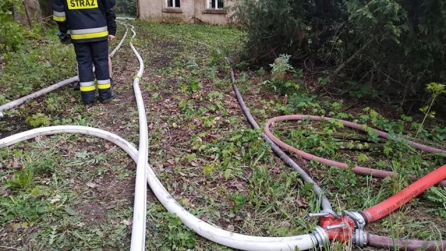 Tczew - 20 zastępów gasiło pożar w Knybawie