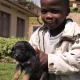 Tczew - Tczewianin zachęca do adopcji serca. Pomóc może każdy z nas