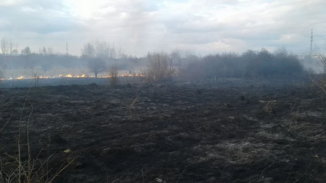 Tczew - Głupota ludzka nie ma granic! Coraz więcej pożarów traw