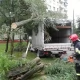 Tczew - Jagiełły. Drzewo runęło na samochód