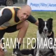 Tczew - Parkrun Tczew z pacemaker'ami. Biegamy i pomagamy