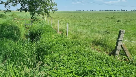 Tczew - Nowe osiedla powstaną na miejskich gruntach rolnych