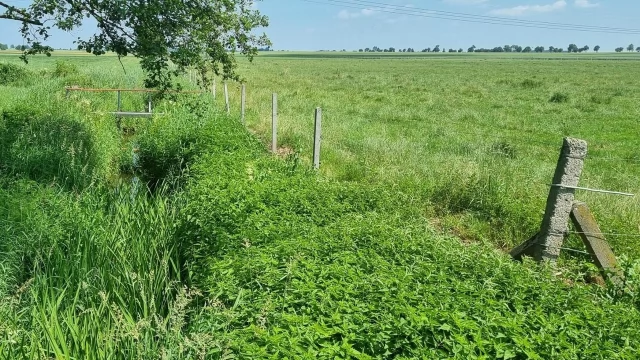 Tczew - Nowe osiedla powstaną na miejskich gruntach rolnych