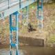 Tczew - Piesek porzucony na śmierć był... adoptowany ze schroniska