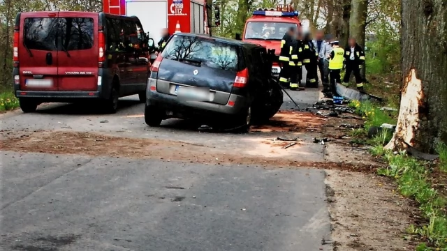 Tczew - Policjanci wyjaśniali okoliczności wypadku w Gogolewie