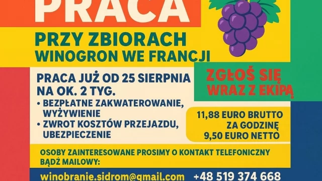 Tczew - WINOBRANIE FRANCJA