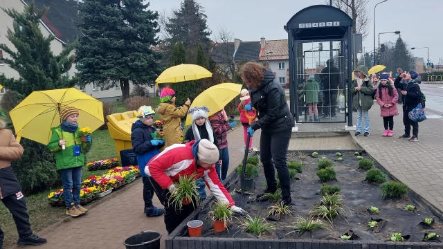 Tczew - Kolejny zielony przystanek na terenie Tczewa