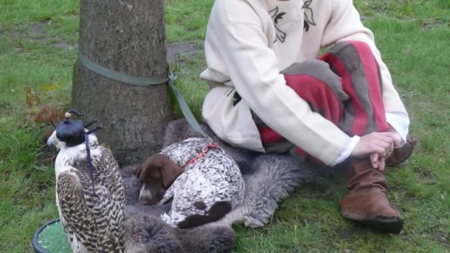 Tczew - Noc Muzeów w Tczewie