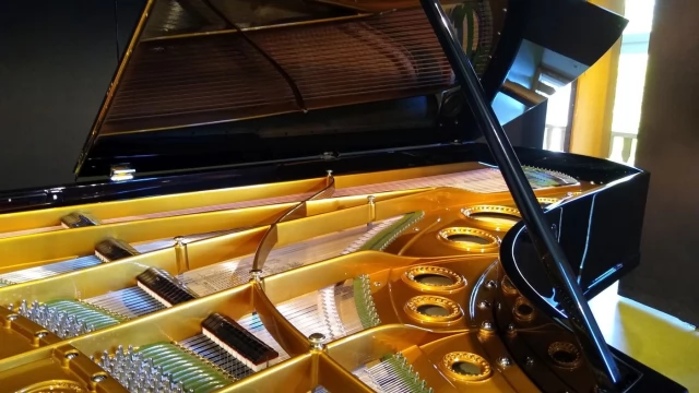 Tczew - Bechstein z "Piątki" jak nowy. To prawdziwy mercedes wśród fortepianów