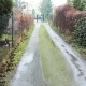 Tczew - Kiedy dostaniemy tę drogę?!
