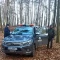 Tczew - Odpowiedzą za nielegalny wyrąb lasu