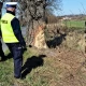 Tczew - Po śmiertelnym wypadku wymalują skrajnię i oznakują drzewa