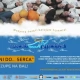 Tczew - "Z dyni do... serca" - przygotowania do XII Tczewskiego Balu Świętych 2024 ruszyły!