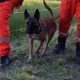 Tczew - Policjanci szukali zaginionego 8-latka. Odnalazł się kilka kilometrów dalej