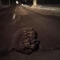 Tczew - Do kogo zgłosić się o odszkodowanie?