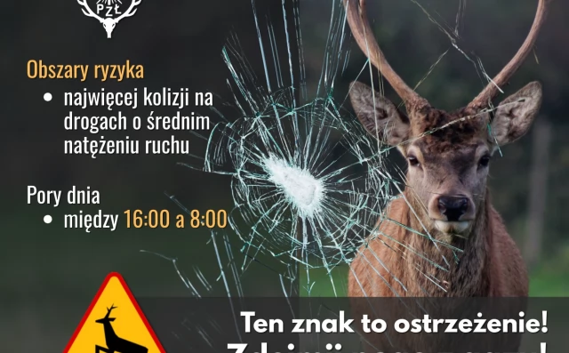 Tczew - Zwierzęta nie znają znaków drogowych. Zwolnij, bądź czujny