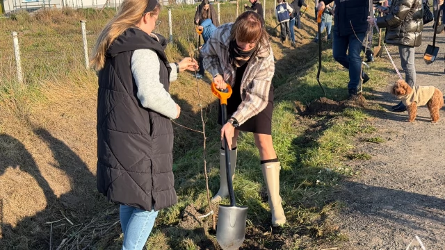 Tczew - Aleja Jabłoni na Nizinie Walichnowskiej ku pamięci społecznika Mariusza Śledzia