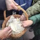 Tczew - Miejskie spotkanie opłatkowe