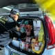Tczew - Strażnicy miejscy zorganizowali zbiórkę dla uchodźców. Teraz najbardziej potrzebna żywność