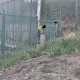 Tczew - Stadion otwarty tylko dla grup zorganizowanych