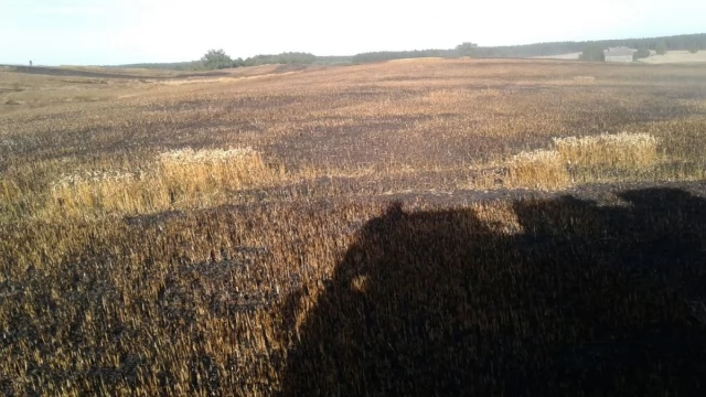 Tczew - Płoną hektary! Rolnicy tracą tegoroczne uprawy