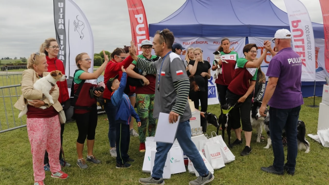 Tczew - Zawody Flyball, czyli wyścig psich sztafet