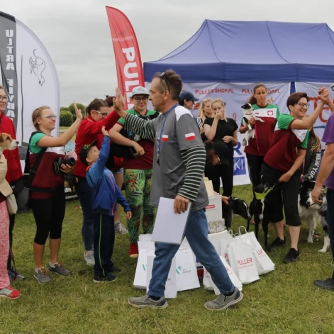 Tczew - Zawody Flyball, czyli wyścig psich sztafet