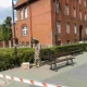 Tczew - Straż odnotowuje mnóstwo interwencji z usuwaniem niebezpiecznych owadów