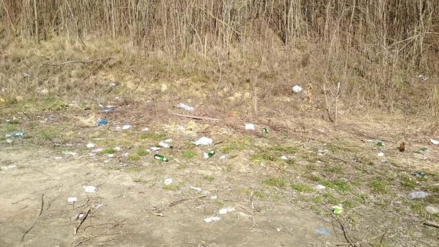 Tczew - Dlaczego robicie tu chlew? Wstyd mi za was!