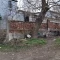 Tczew - Czyje to śmieci?