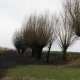 Tczew - Groźny pożar w użytku ekologicznym Borawa. Najprawdopodobniej przez ludzką głupotę