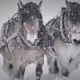 Tczew - Cała w bieli - świąteczny utwór tczewskiego Artysty